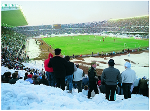 ESMT 植被常綠/長(cháng)綠的控制